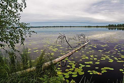 Озера Северного Урала: Теклюевское, Нюхти и Дикое