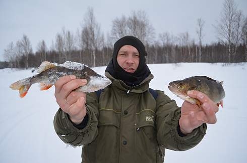 Рыбалка на окуня зимой