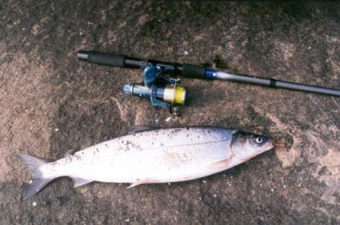 Рыбалка на Югорском полуострове