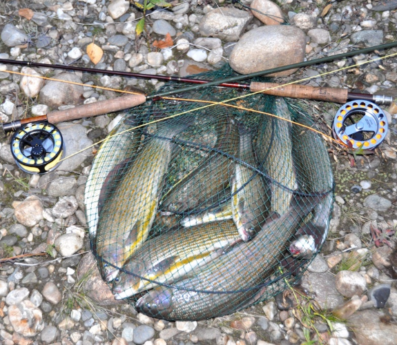Рыбалка на реке Народа