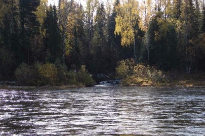 Устье реки Нижняя Золотиха