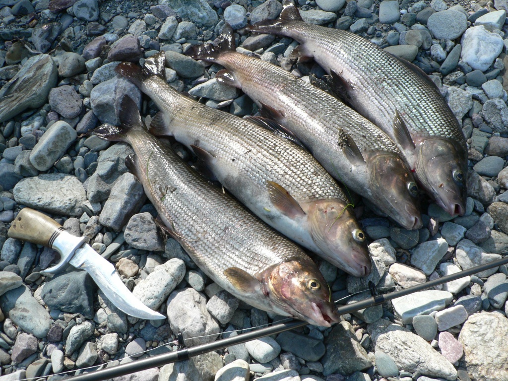Рыбалка на реке Грубею