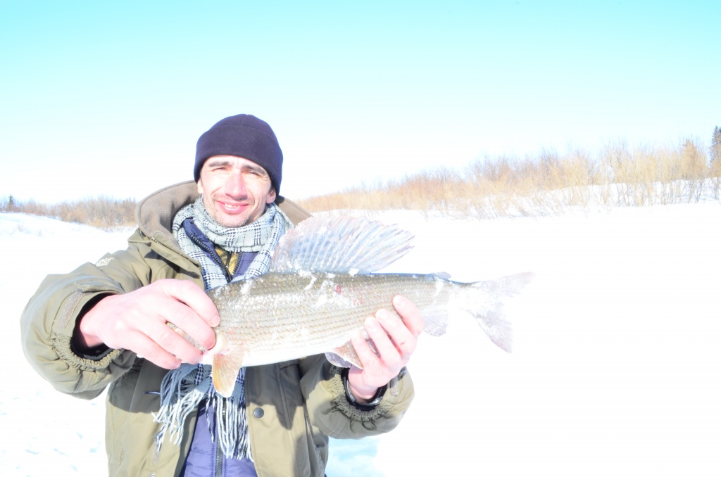 видео рыбалка ловля хариуса зима