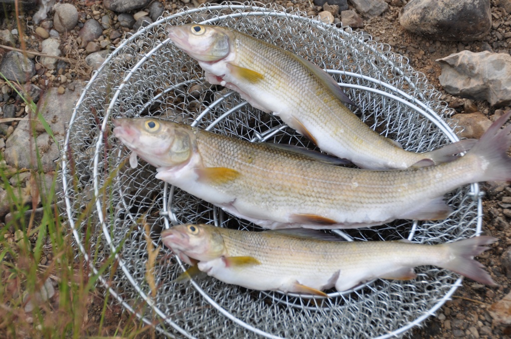Рыбалка на реке Тыкотлова