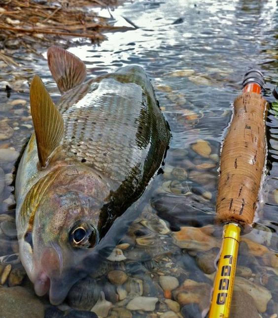 Рыбалка на реке Хулга