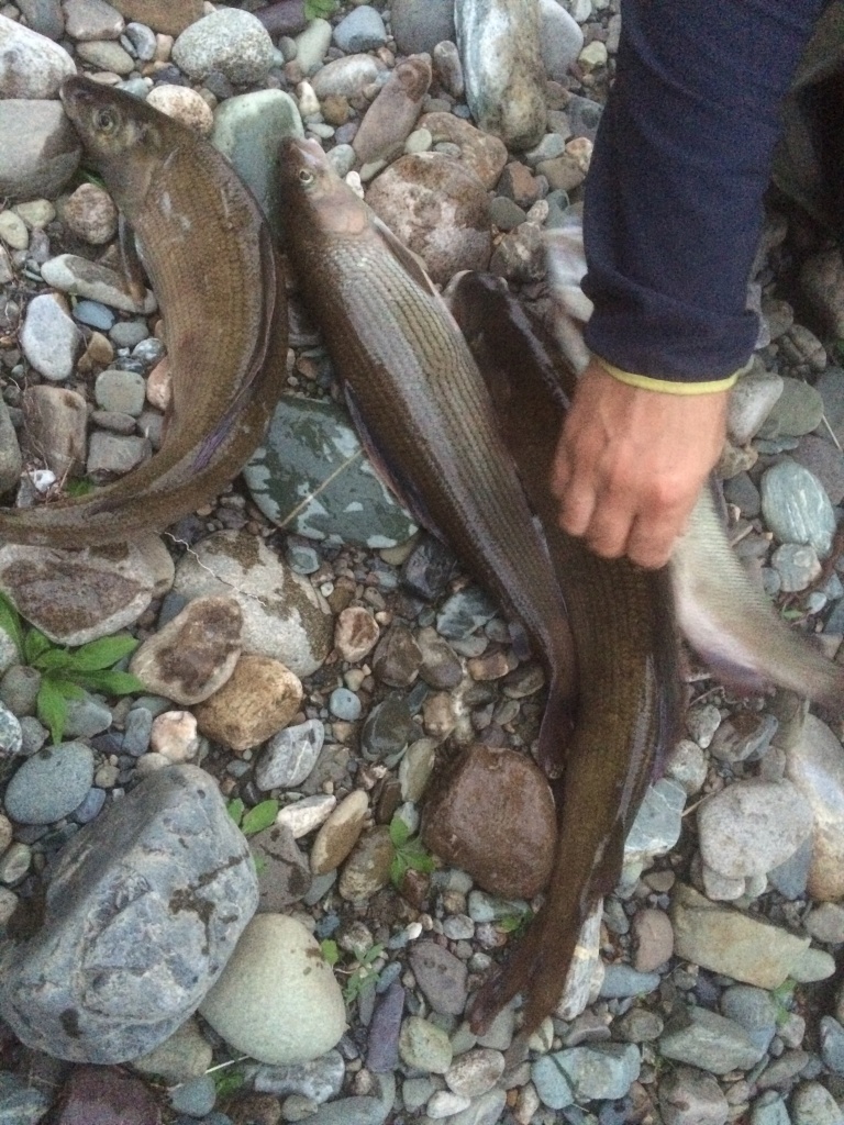 Рыбалка на реке Собь