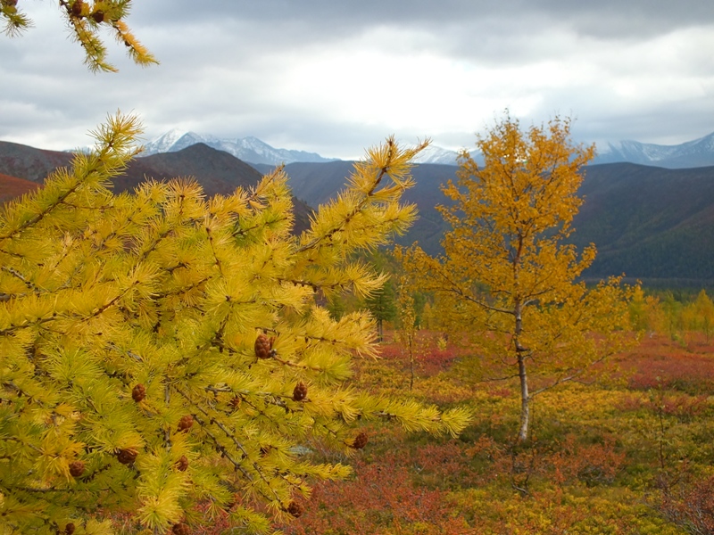 Осень в Уральских горах.JPG