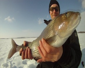 Зимняя рыбалка на реках Коми
