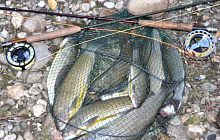 Рыбалка на реке Народа